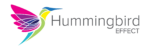 Hummingbird effect logo