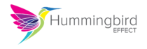 Hummingbird effect logo